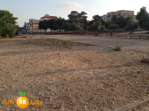 ard el sooq 714 (3).JPG